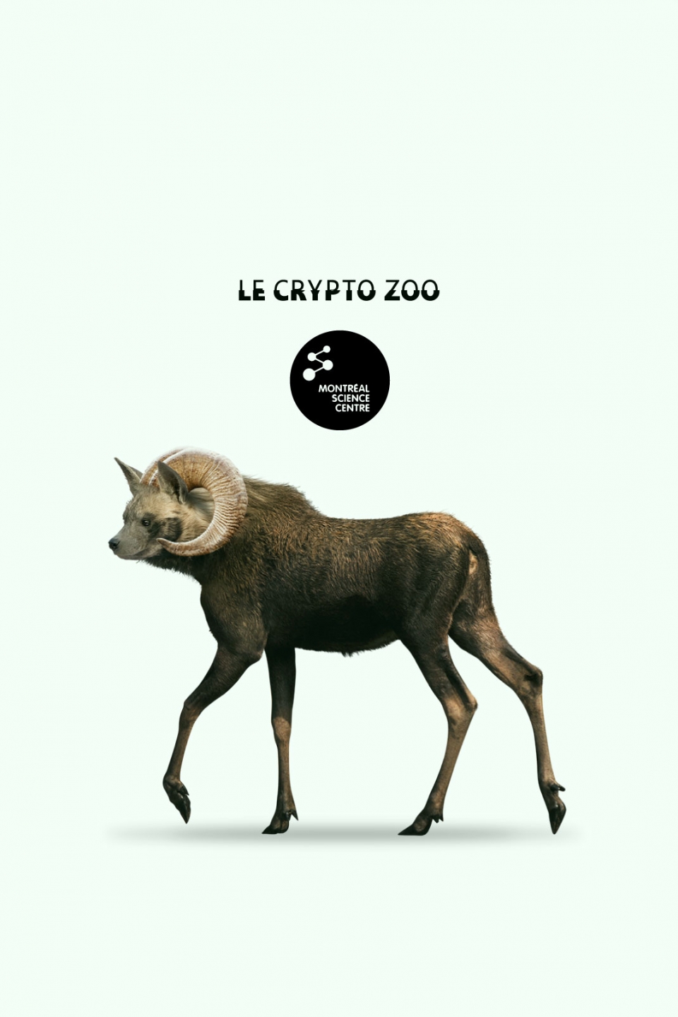 Le Crypto Zoo